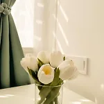 Vibe S31 ,ac,free Parking Apartmán *