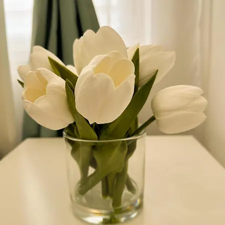Apartment Vibe S31 Szekesfehervar