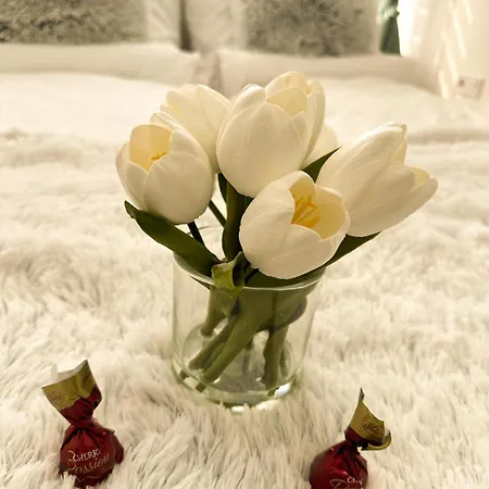 Vibe S31 Apartment *