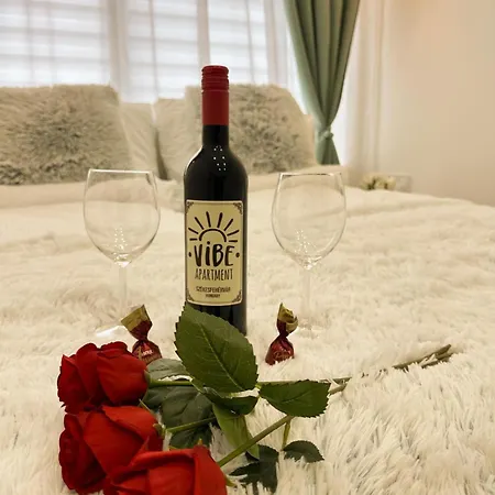 Vibe S31 ,ac,free Parking Daire İstolni Belgrad