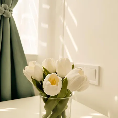 Vibe S31 ,ac,free Parking Daire *