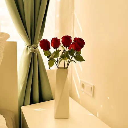 Vibe S31 ,ac,free Parking Daire İstolni Belgrad