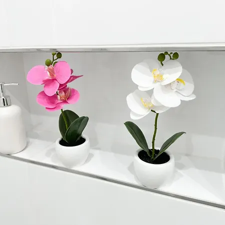 Daire Vibe S31 ,ac,free Parking İstolni Belgrad