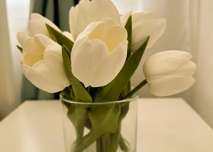 Apartmán Vibe S31 ,ac,free Parking Székesfehérvár