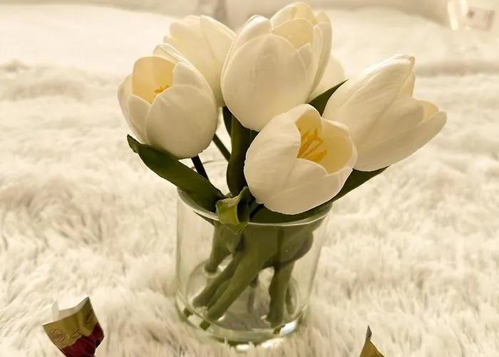 Vibe S31 ,ac,free Parking Apartmán *