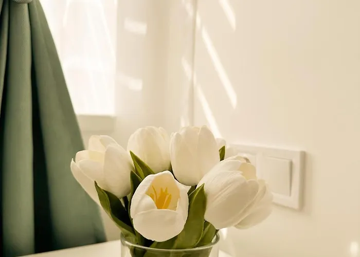 Vibe S31 ,ac,free Parking Apartmán *